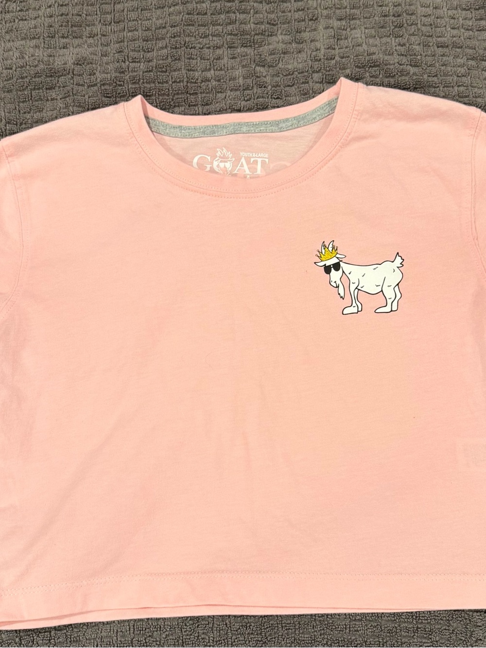 Youth Pink GOAT Graphic Short-Sleeve Tee